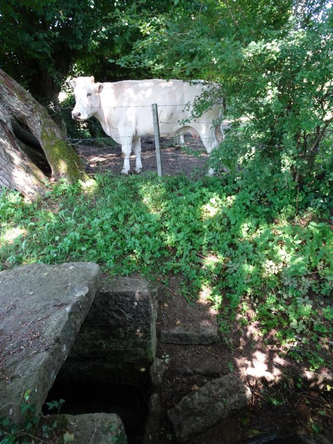 Le Rucher Lez-Fontaine Exteriör bild